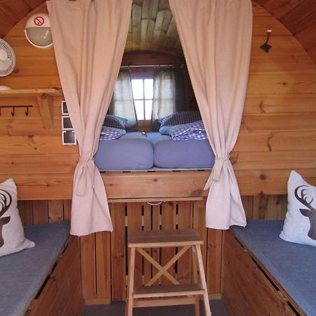 Schlaffass-Camping Gutshof Donauried غنزبرغ المظهر الخارجي الصورة